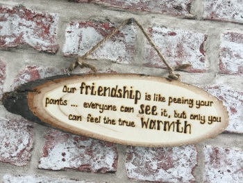 Our friendship is like peeing your pants... - Personalised Wood Log Slice Plaque