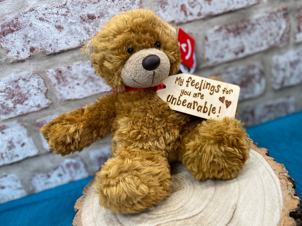 My Feelings For You Are Unbearable - Personalised 9" Teddy Bear Plush  