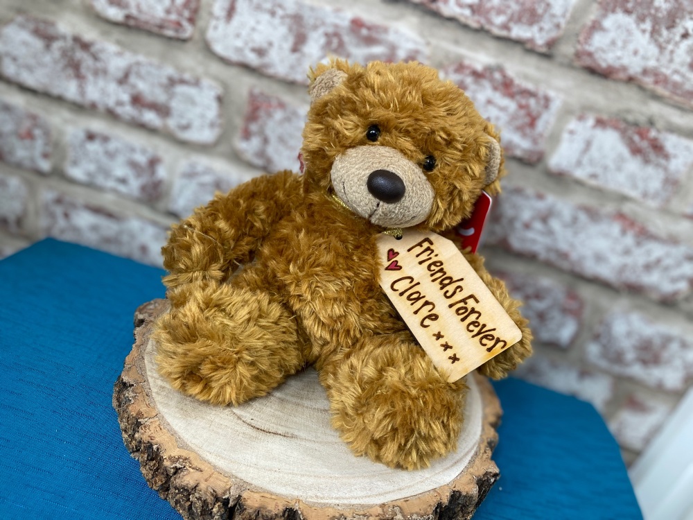 Friends Forever - Personalised 9" Teddy Bear Plush 