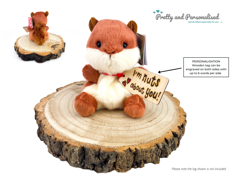 Super Cute Personalised Red Squirrel Soft Toy