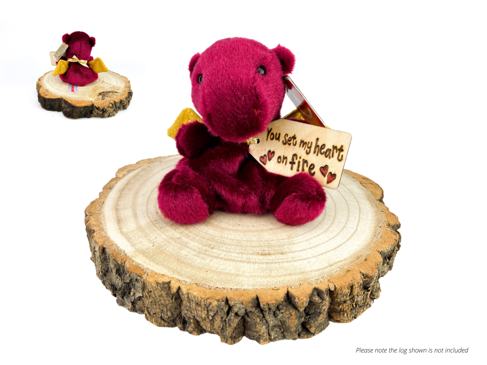 Super Cute Personalised Dragon Soft Toy