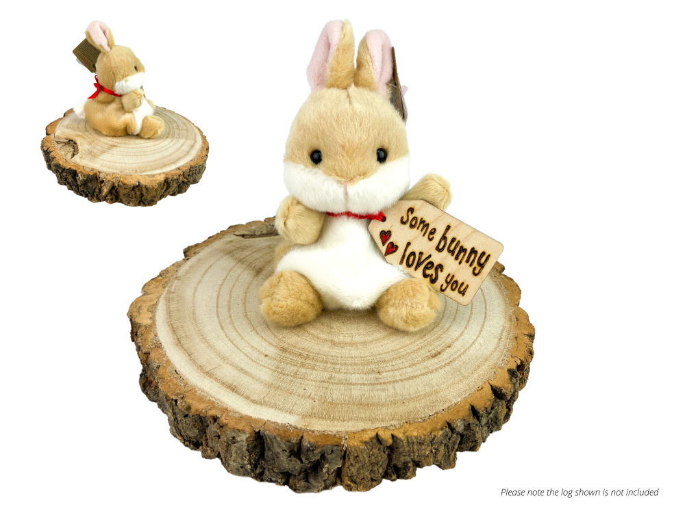 Super Cute Personalised Bunny Rabbit Soft Toy