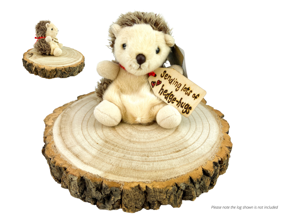 Super Cute Personalised Hedgehog Soft Toy