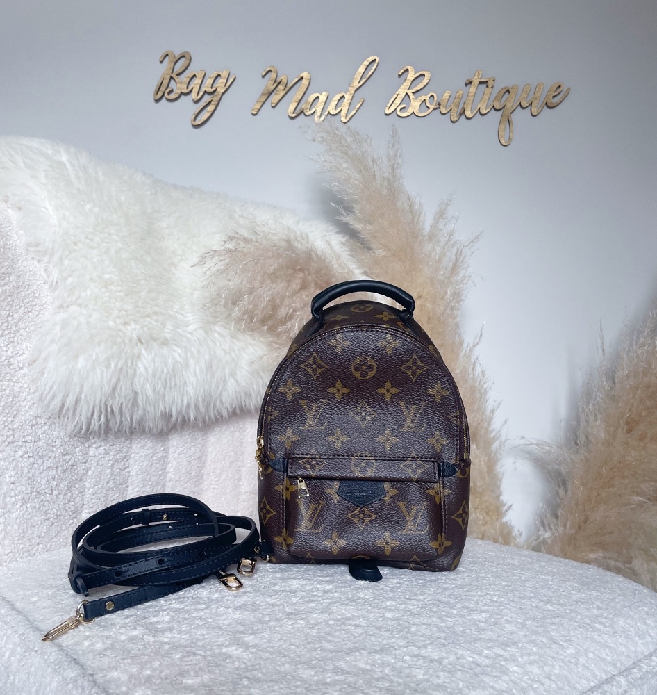 Louis Vuitton Monogram Palm Springs Mini