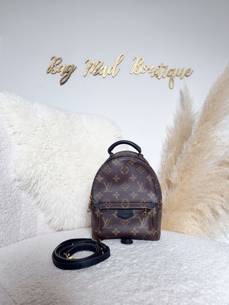 Louis Vuitton Monogram Palm Springs Mini