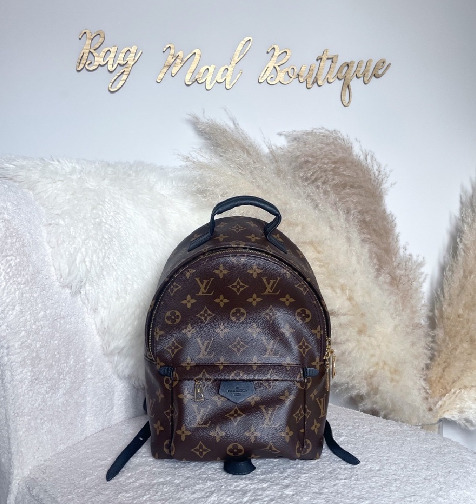 Louis Vuitton Monogram Palm Springs PM