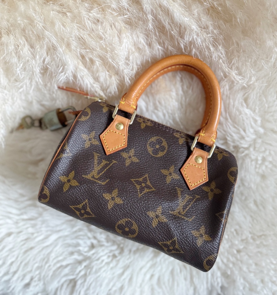 Louis Vuitton Monogram HL Nano Speedy