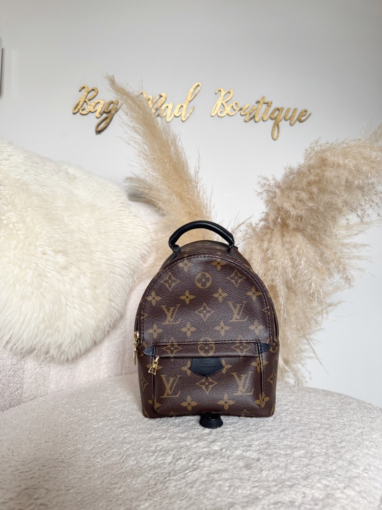 Louis Vuitton Monogram Palm Springs Mini