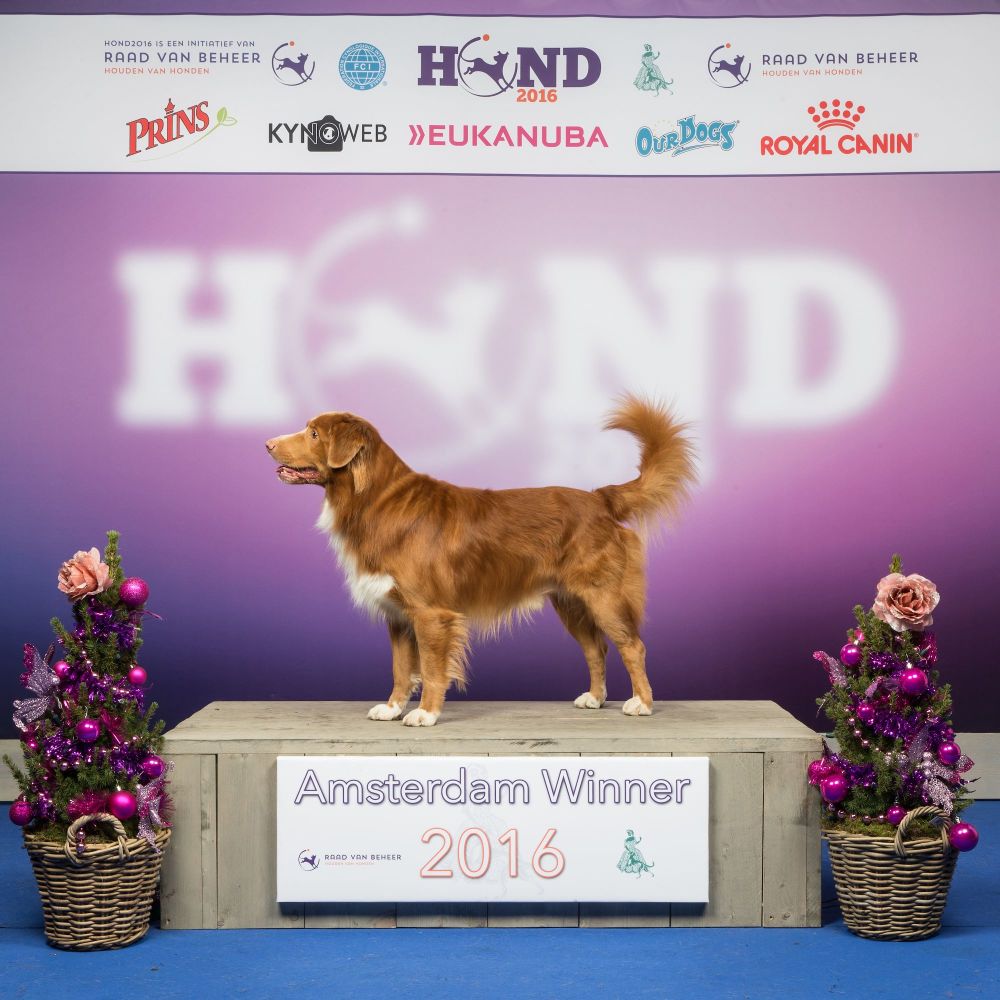 Kyro Amsterdam Winner 2016