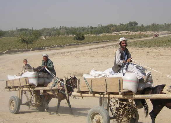 Afghanistan man on cart