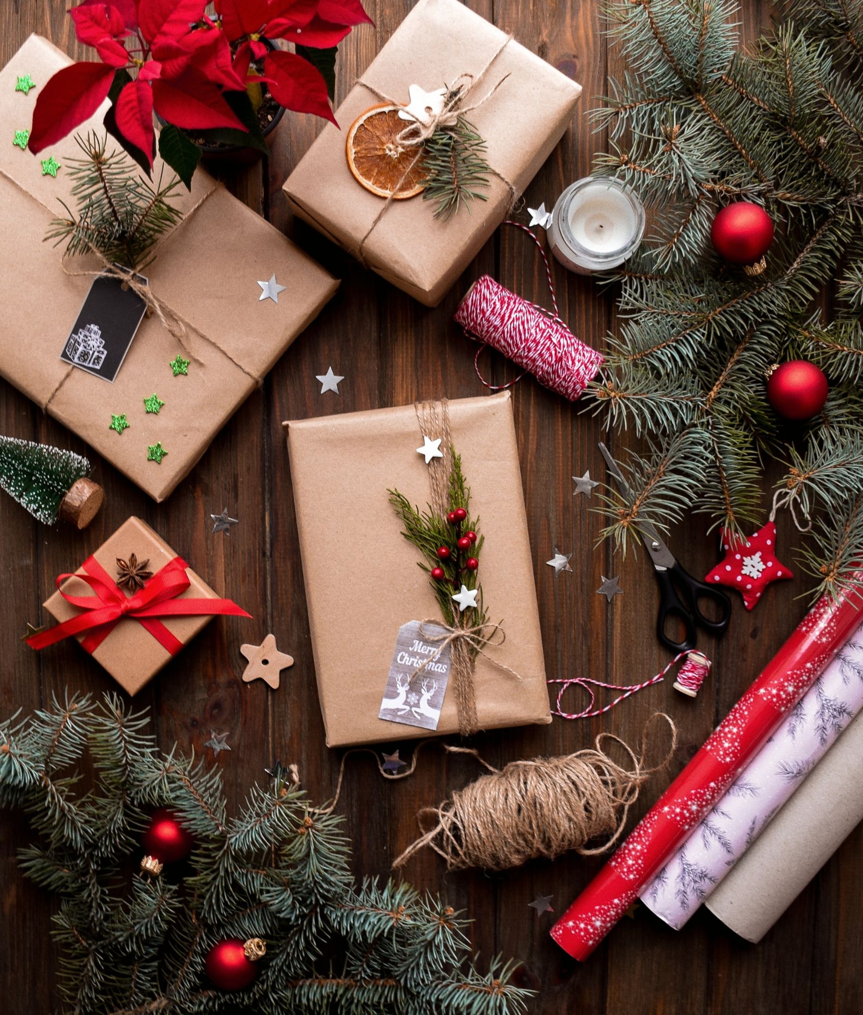 Christmas at Home by the Hedgerow