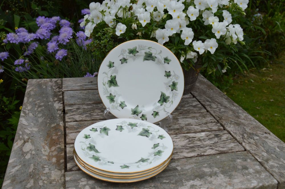 Set of 5 Duchess Fine Bone China Tea Plates - Ivy Pattern