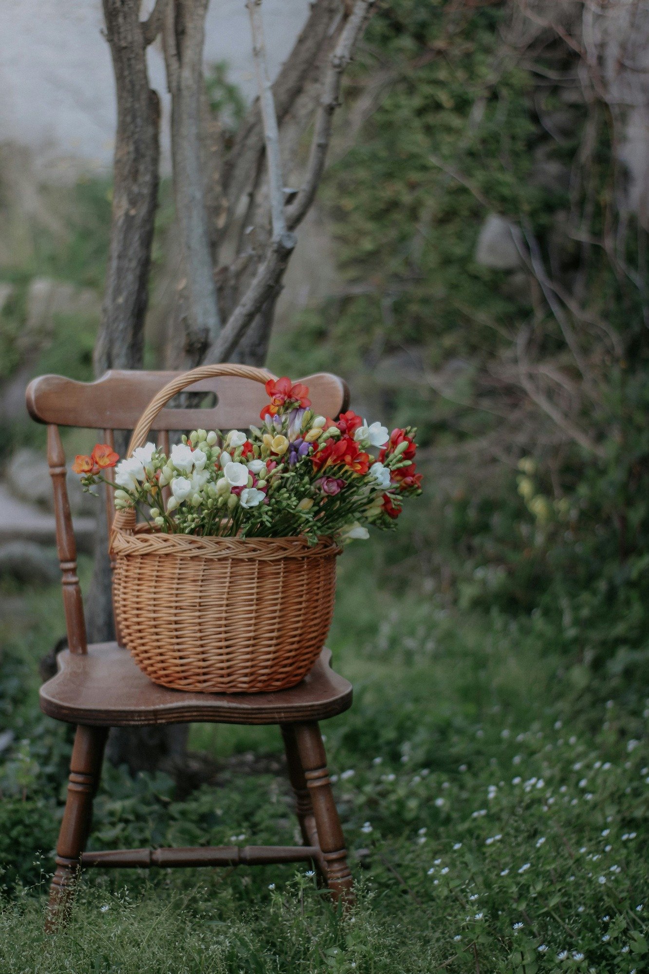 About Home by the Hedgerow