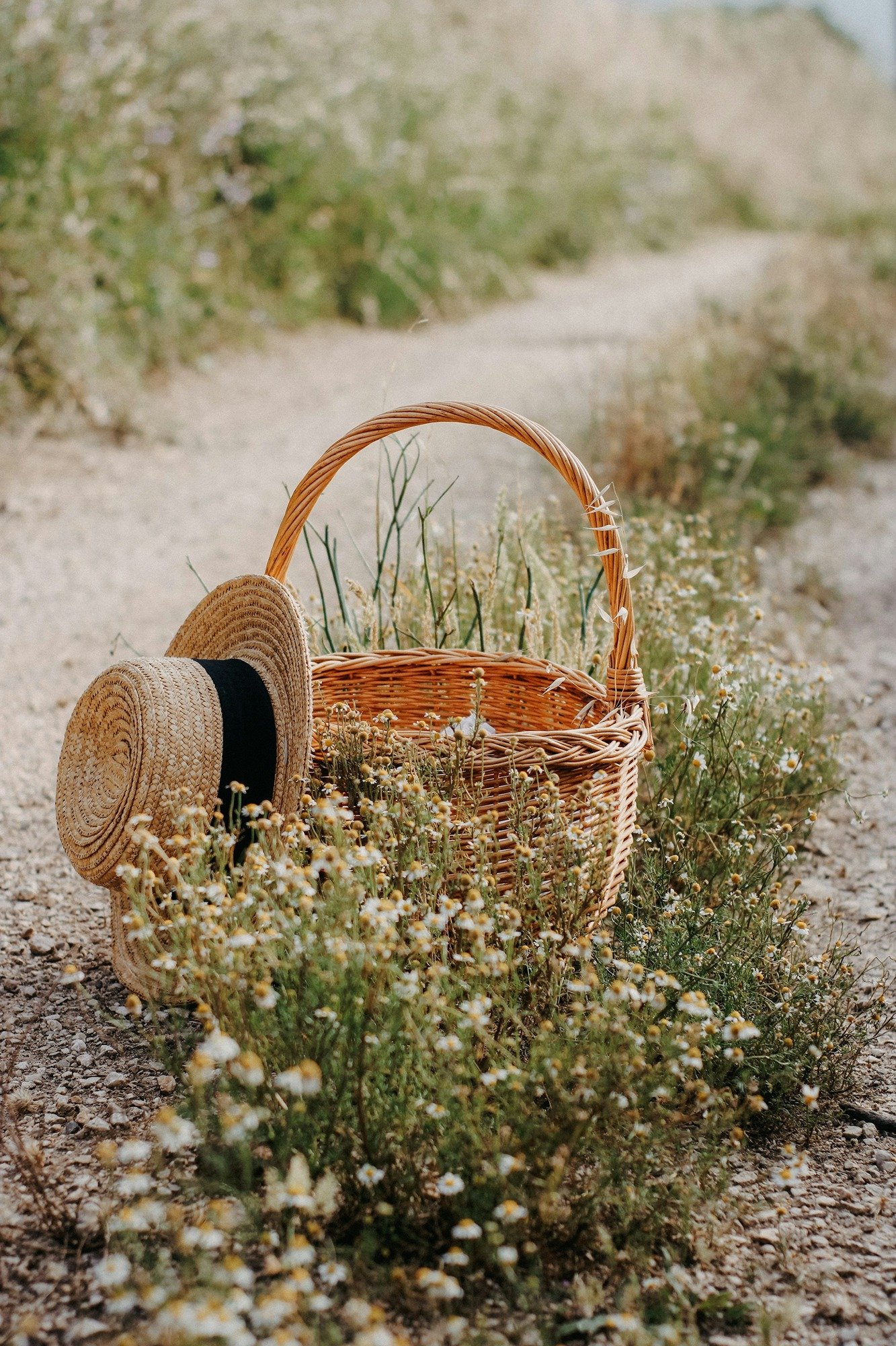 Welcome to Home by the Hedgerow