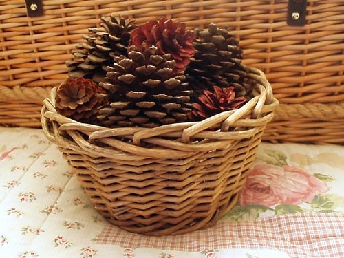Sussex gathered Pine Cones, Scented and Waxed