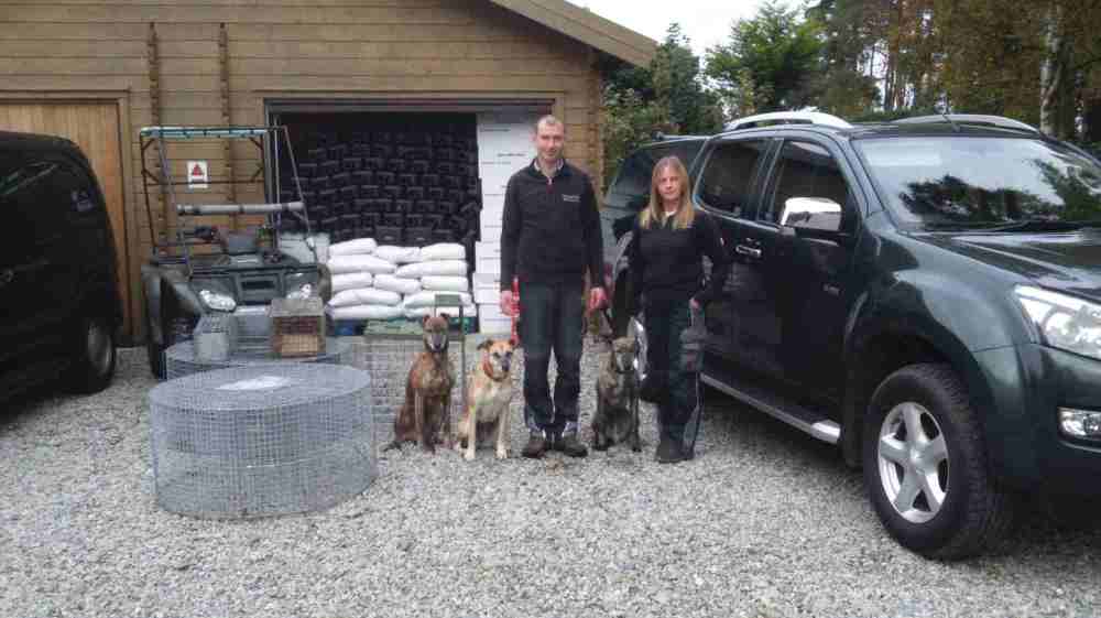 pest control in highlands