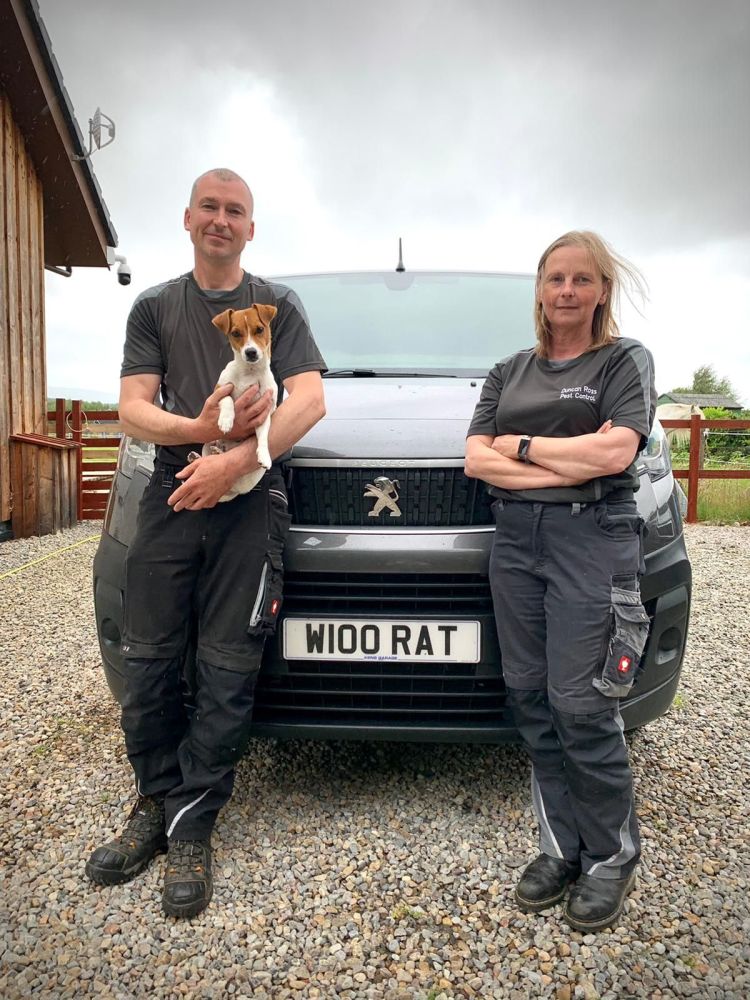 pest control in highlands