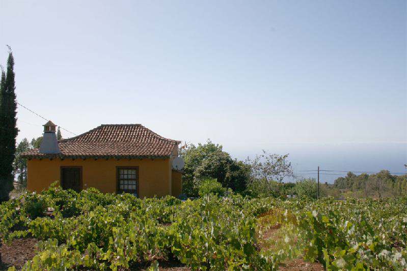 Casa Frederico vineyards to rear