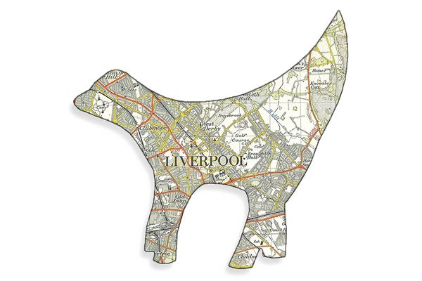 Superlambanana with Liverpool Map  (L016)