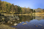 Blea Tarn, Lake District, Cumbria - Photographic Print
