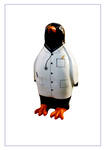 Penguin in Doctors white Coat - Side Fold Photo Card (L036)
