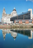 Liver Buildings from across the dock