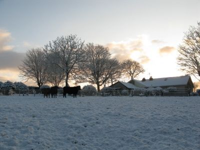 Cilwg in the snow