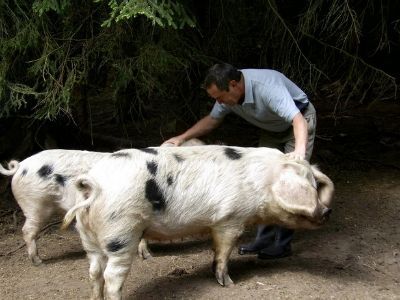 Ryan with our original GOS pigs