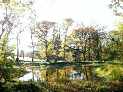 The lake at Cilwg