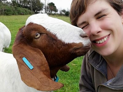 Boer goat kisses