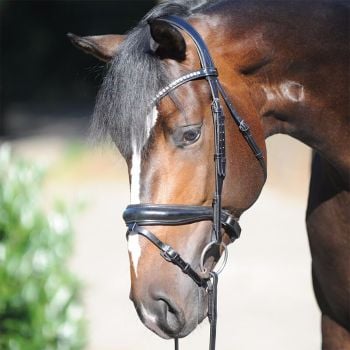 Bridle "Charlotte" crank nose band with flash made from high quality German leather (£102.50 Exc VAT & £123.00 Inc VAT) Product Code 190 67