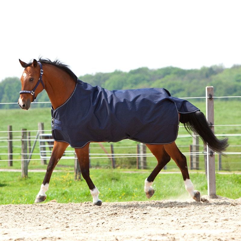 Turnout rug