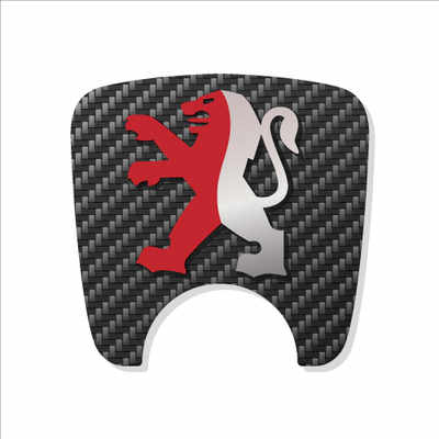 106 S2 Boot Lock Decal Carbon 13