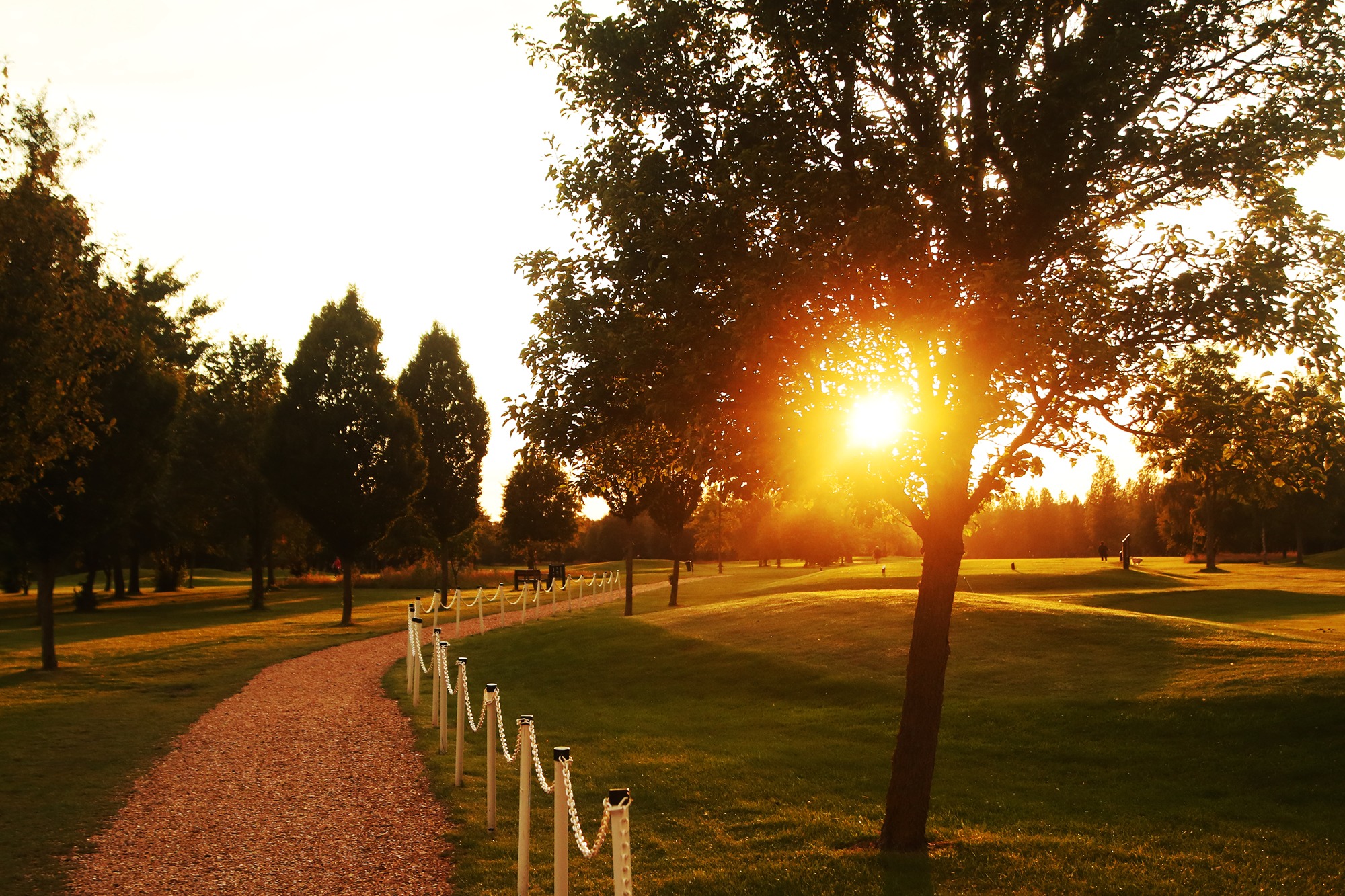 Golf-2RE_4577.jpg
