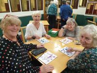 soc2024-draw-beetles