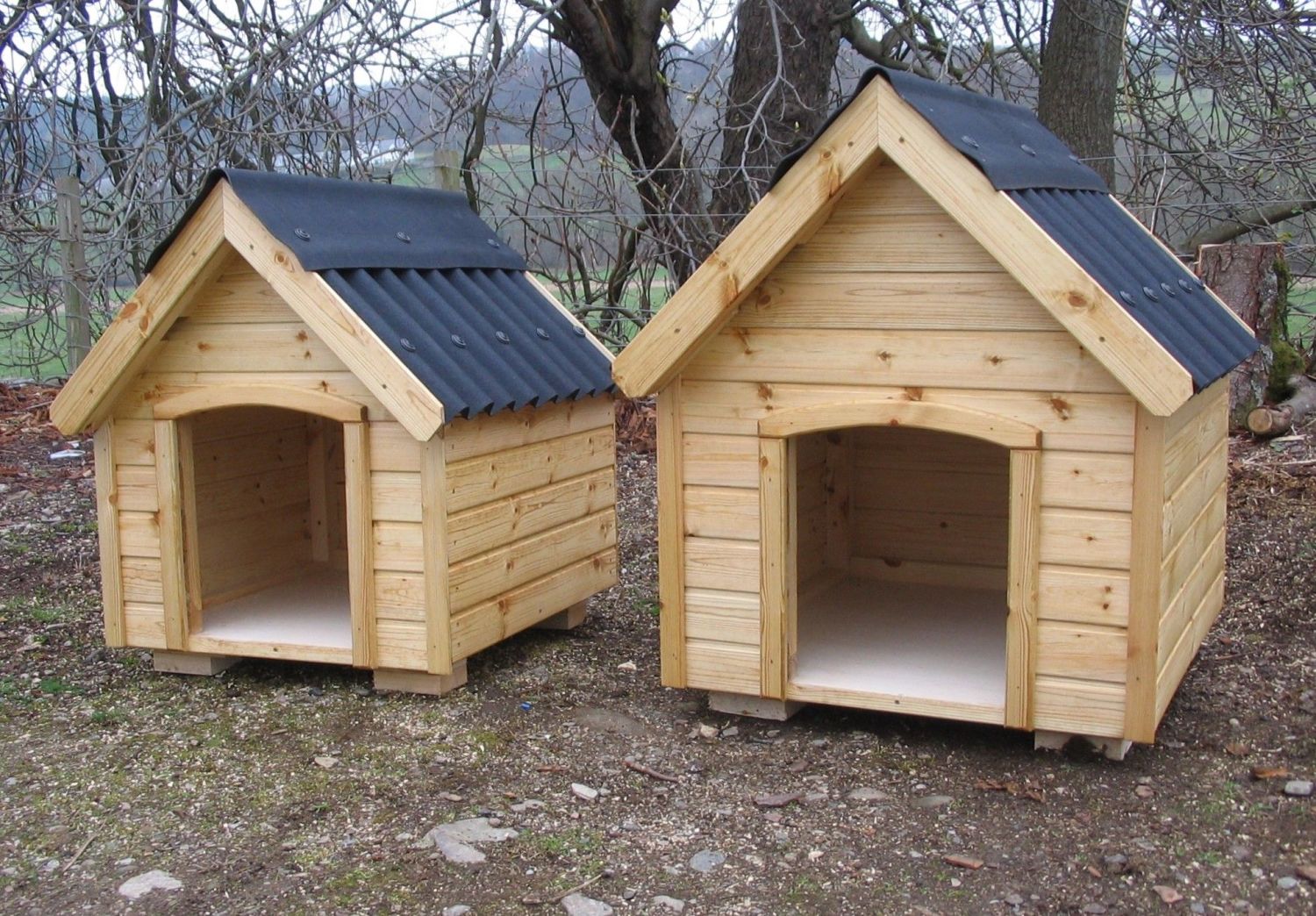 Dog Kennels Chicken Coop Hen House Perthshire Poultry