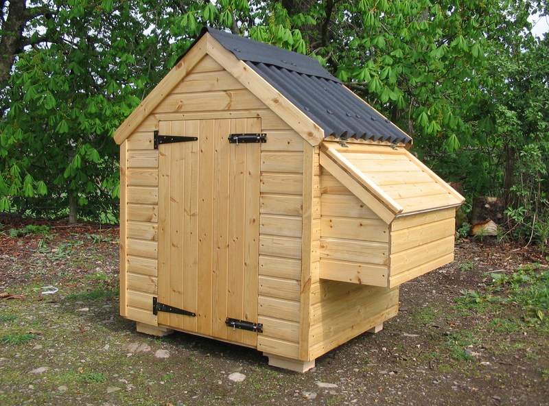 Large chicken hen poultry house coop coup shed scotland 