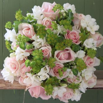 Pink Rose and White Freesia. Price from