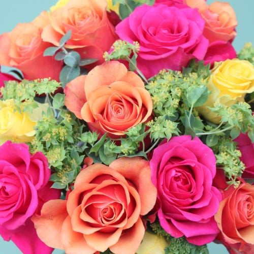 Vibrant Rose Knot