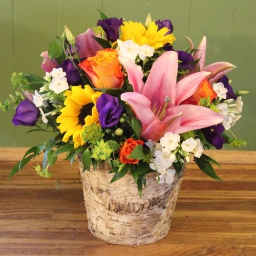 Eclectic Container