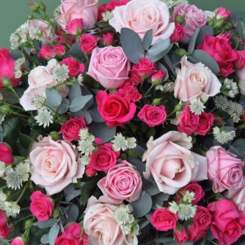 Shades of Pink Roses Coffin Spray