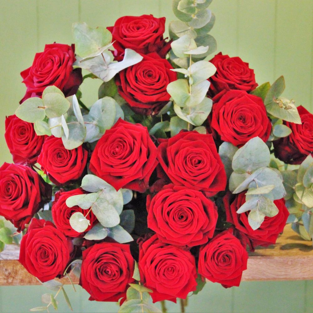 Red Naomi Roses Long stemmed
