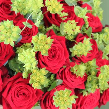 Red Naomi Rose and bupleurum Bouquet
