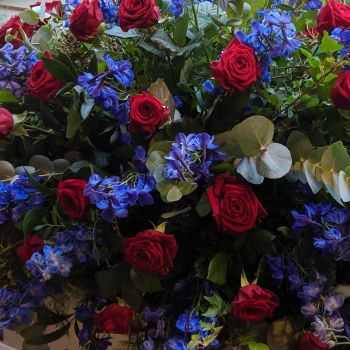 Red Rose & Royal Blue Delphinium Coffin Spray