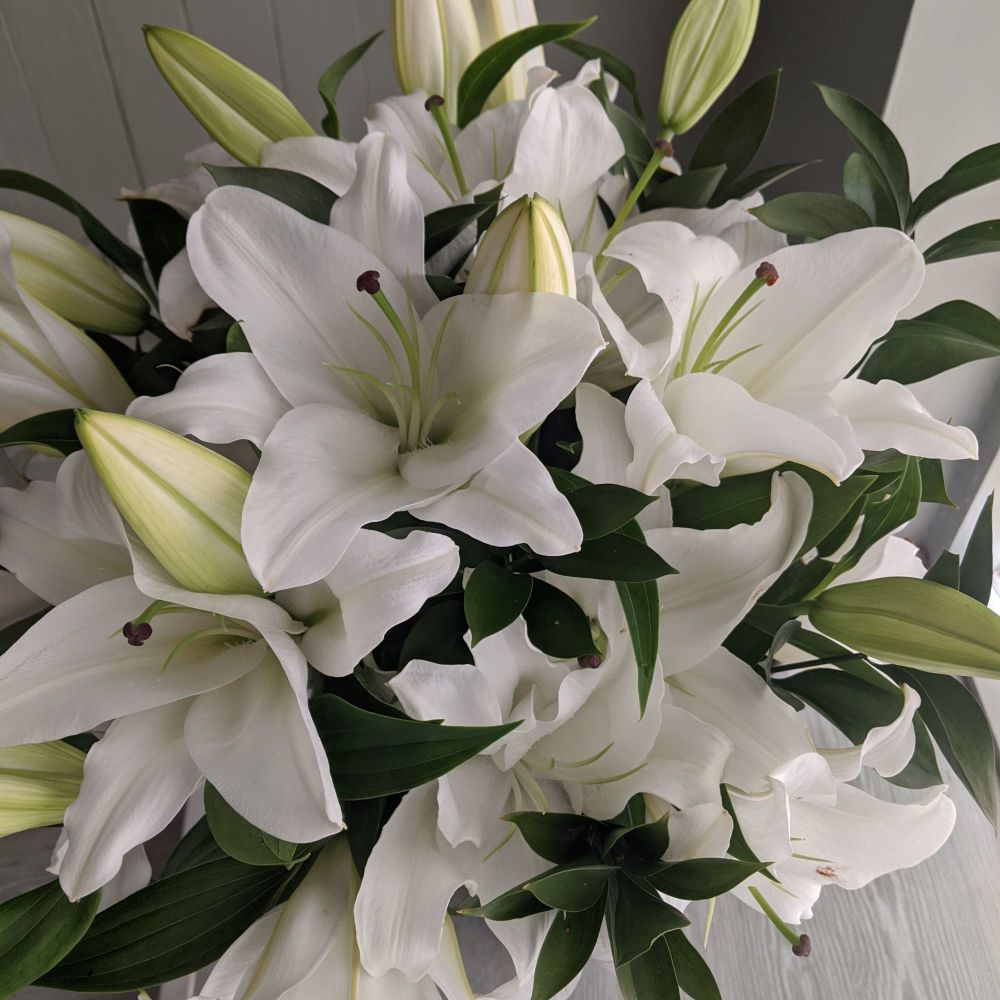 White Lilies To Sussex White Lilies To Sussex