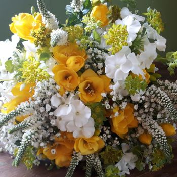 Yellow Blonde Hand-tied Posy. Price from