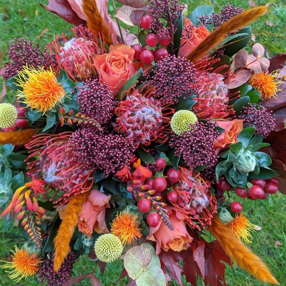Arancio. Price from
