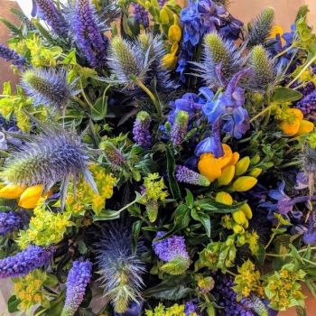 Azure Gold. Price from