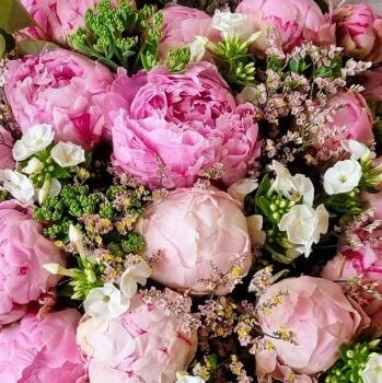 Perfect Pink Peony Bouquet. Price from