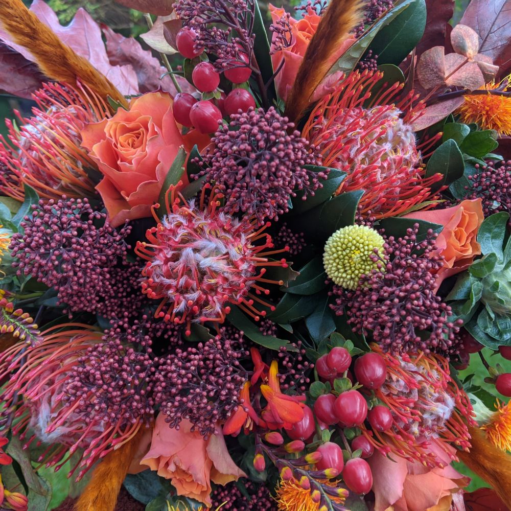 The Autumn Collection